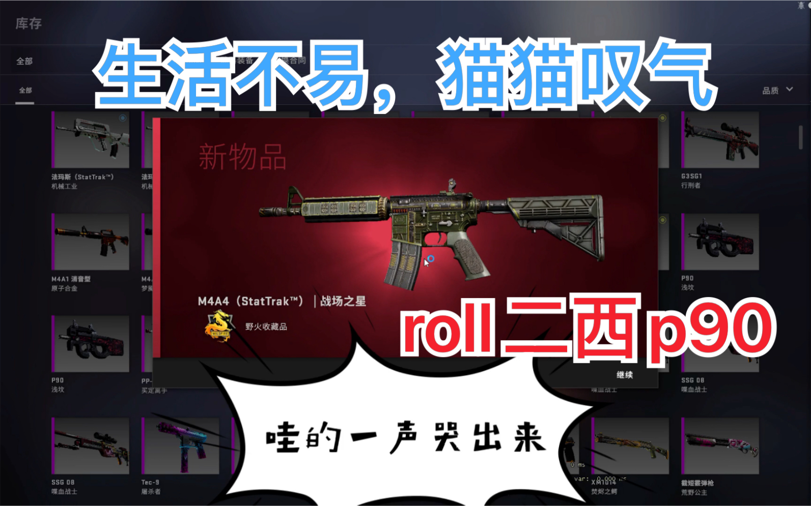 (狼先生)(csgo炼金)极度舒适,生活不易,猫猫叹气哔哩哔哩bilibili