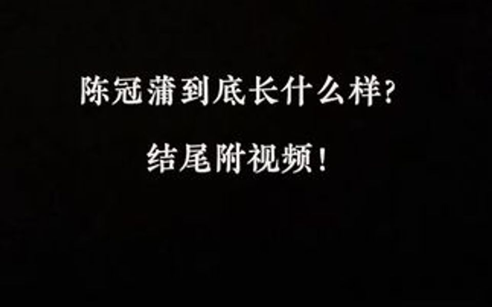 到底长什么样?结尾附视频!陈冠蒲2002年《情人朋友》哔哩哔哩bilibili