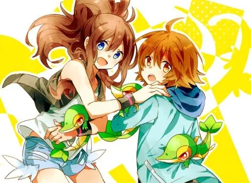 宝可梦黑白(黑白2)美图