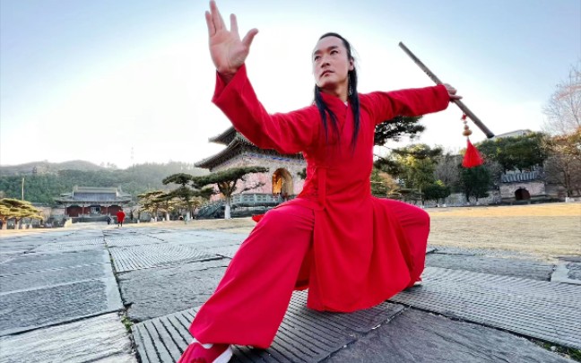 武当凌云以意领剑刚柔之劲的武当七星剑