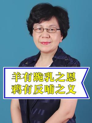 羊有跪乳之恩,鸦有反哺之义哔哩哔哩bilibili