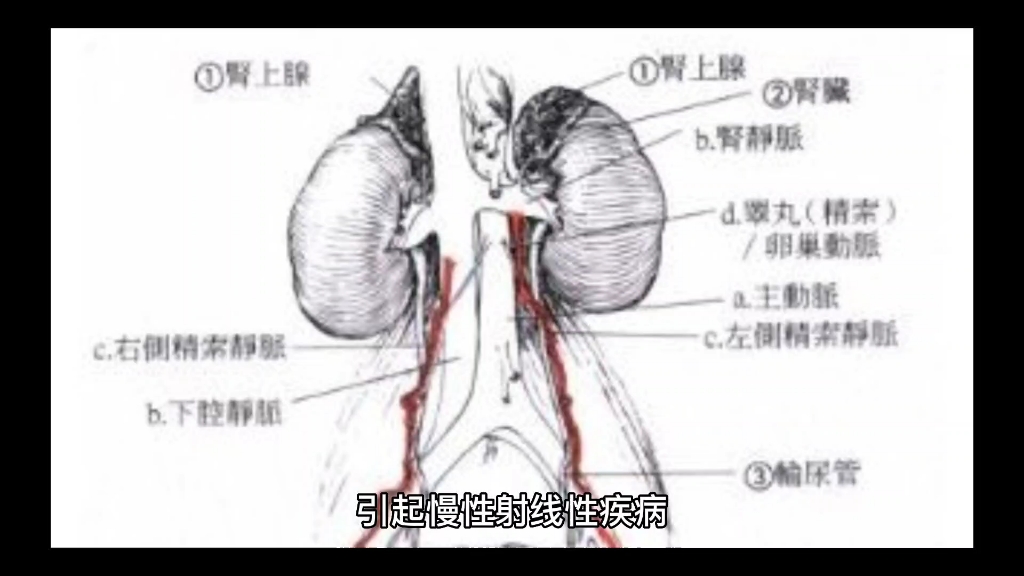 [图]引进日本核污染过的水产品，你们脑子被门挤了！