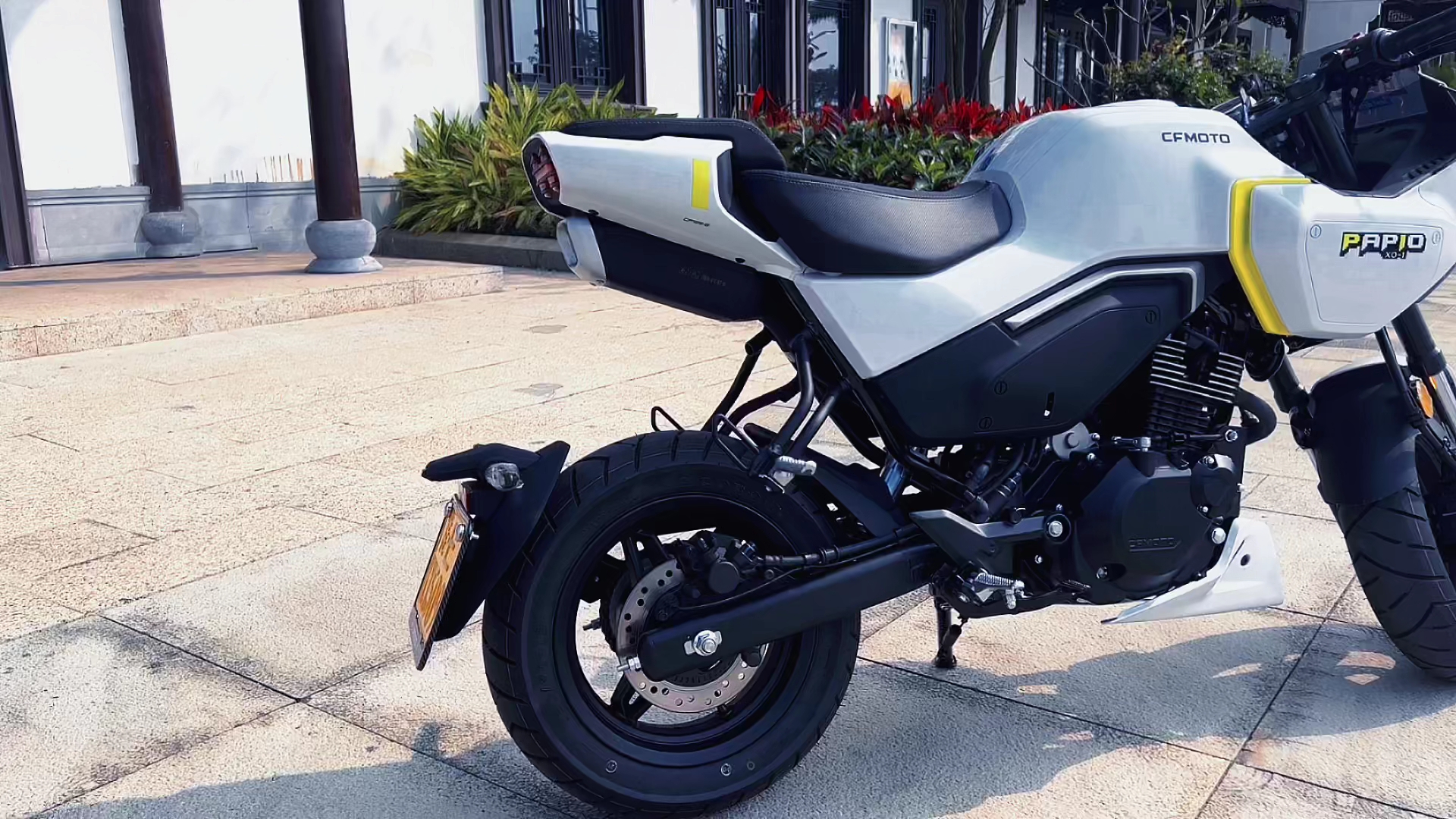 "蕉个朋友吧"太可爱了,是你的菜吗? #春风xo狒狒