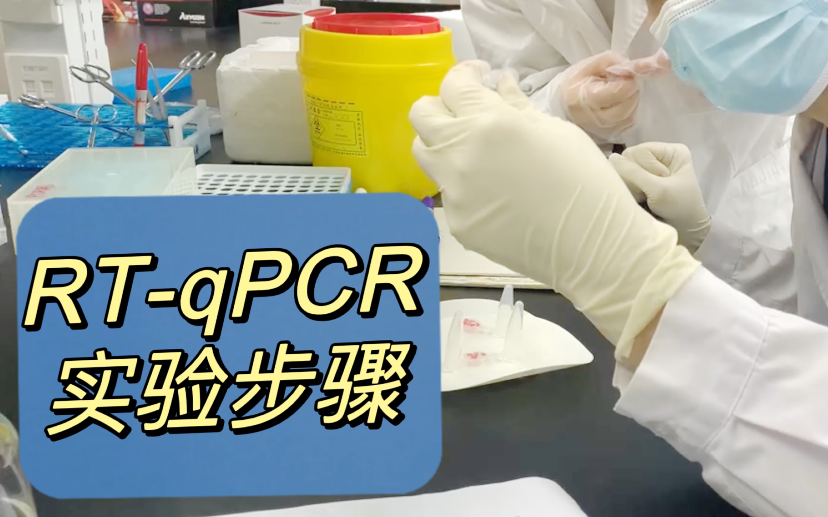 RTqPCR详细步骤哔哩哔哩bilibili