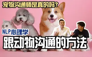 Tải video: 宠物沟通师是真的吗？用心理学跟动物沟通的方法，了解宠物在想什么！袁希金易樟NLP小教室#18