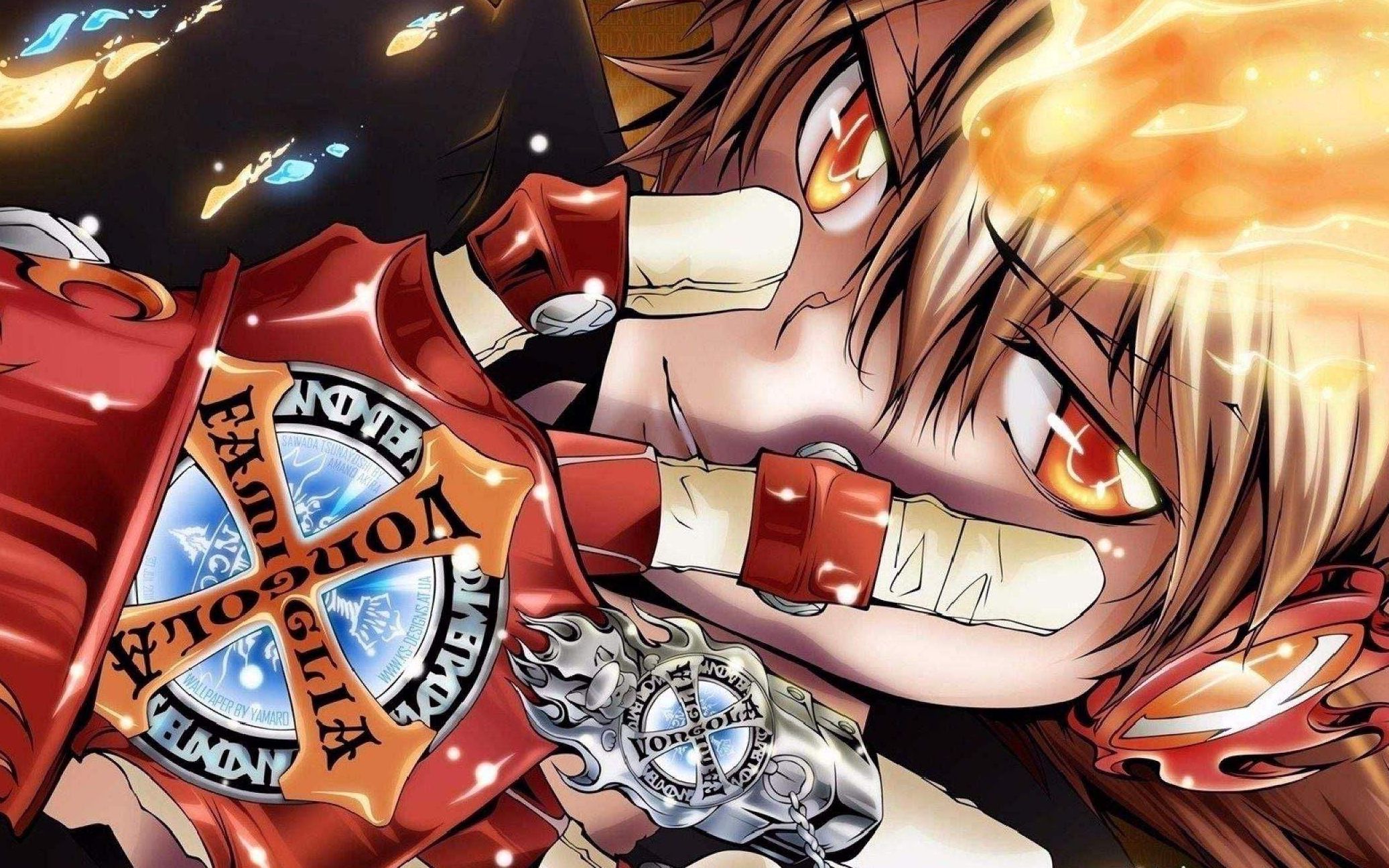 300英雄这波是纲吉个人秀