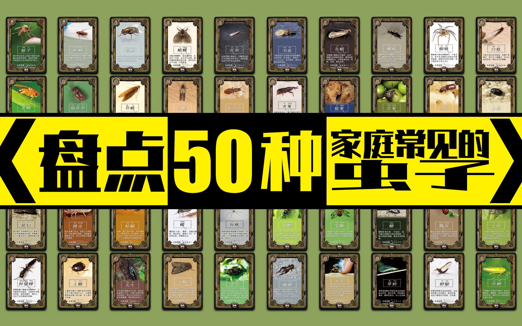 [图]盘点50种家庭常见虫子！