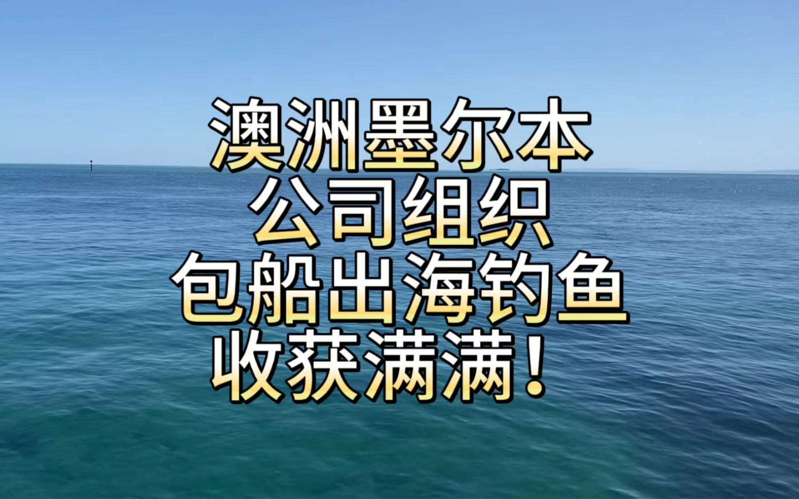 澳洲墨尔本,公司组织包船出海钓鱼,收获满满!哔哩哔哩bilibili