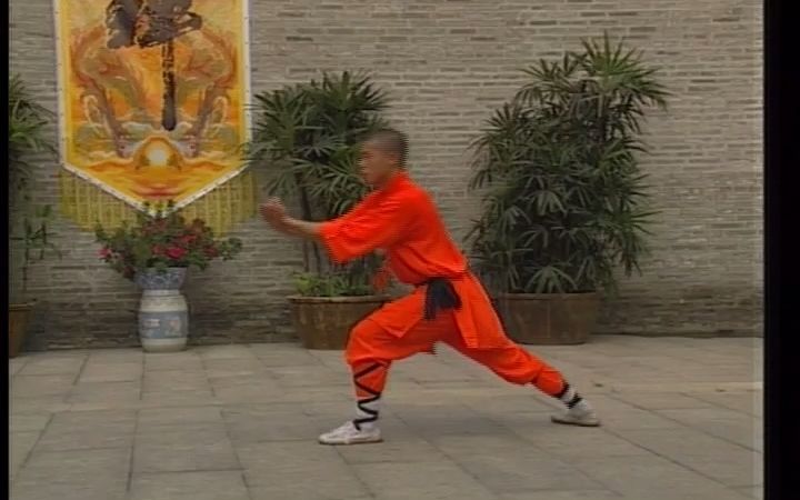 [图]少林龙拳3