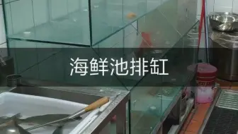 海鲜池排缸 养鱼养海鲜 河鲜池酒店鱼缸