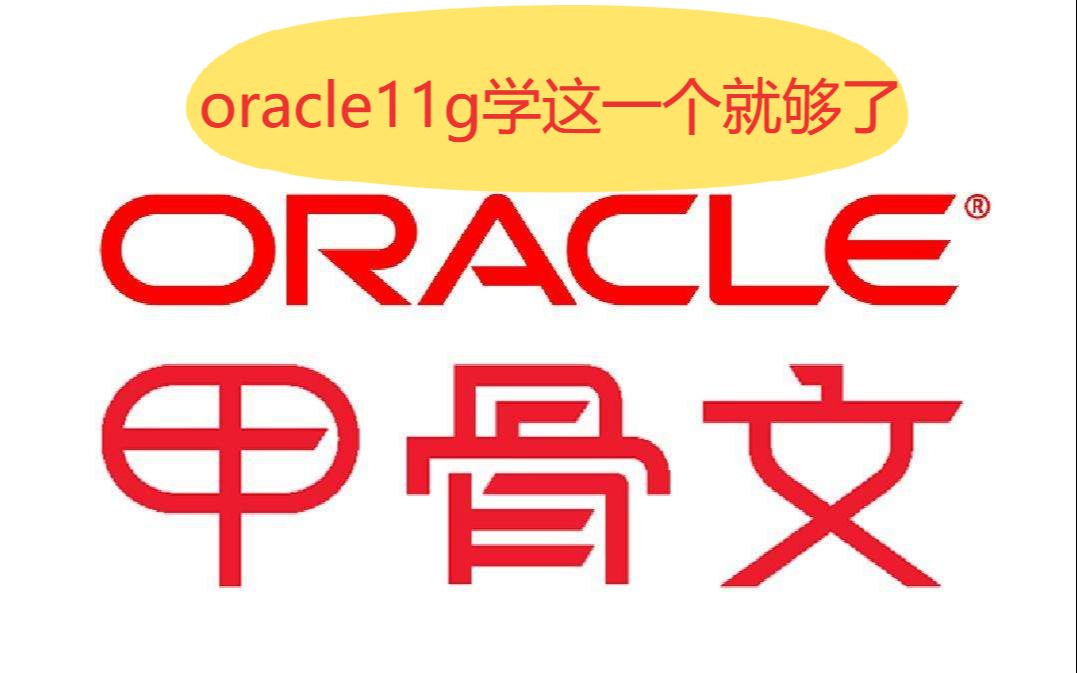 10-oracle11g-oracle-11g