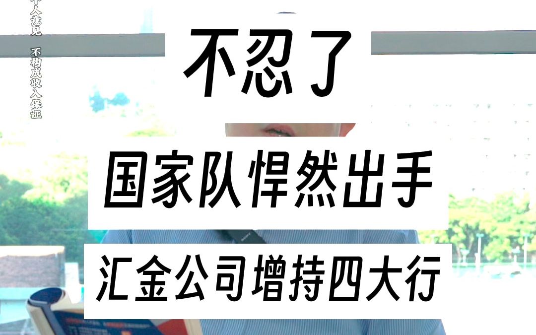 不忍了,国家队悍然出手,汇金公司增持四大行哔哩哔哩bilibili