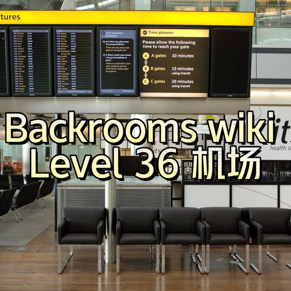 Level 36 Airport [Backrooms Wikidot] 