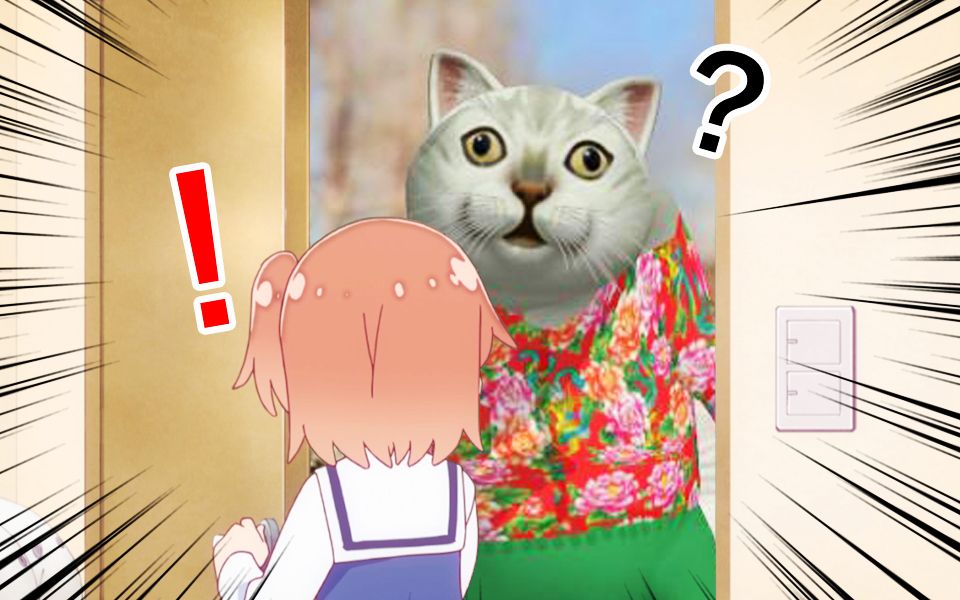 喵内!一定是我开门的方式不对(╯°口°)╯