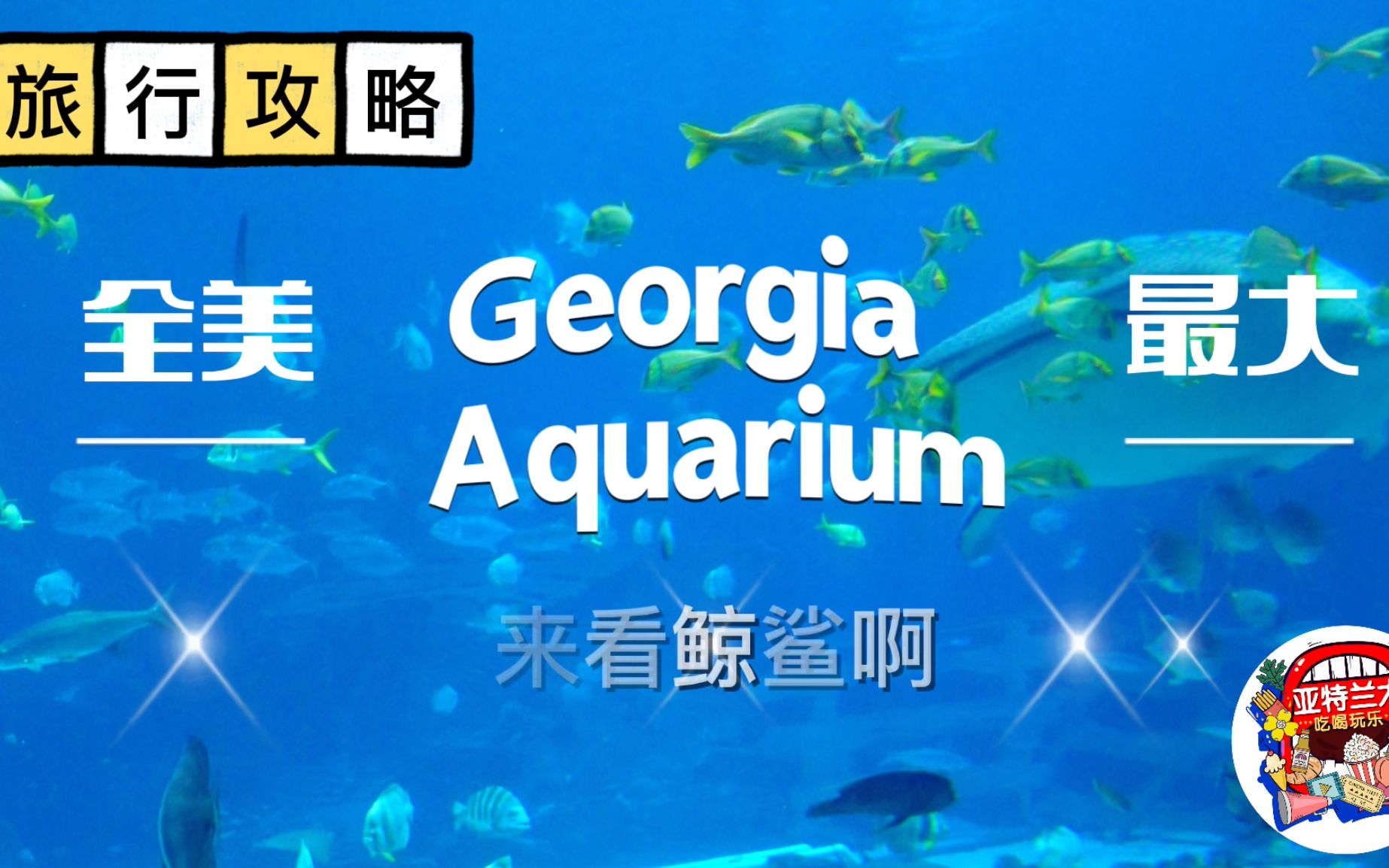 [图]【旅行VLOG】佐治亚小骄傲Georgia Aquarium：全美最大水族馆，来看鲸鲨吧！