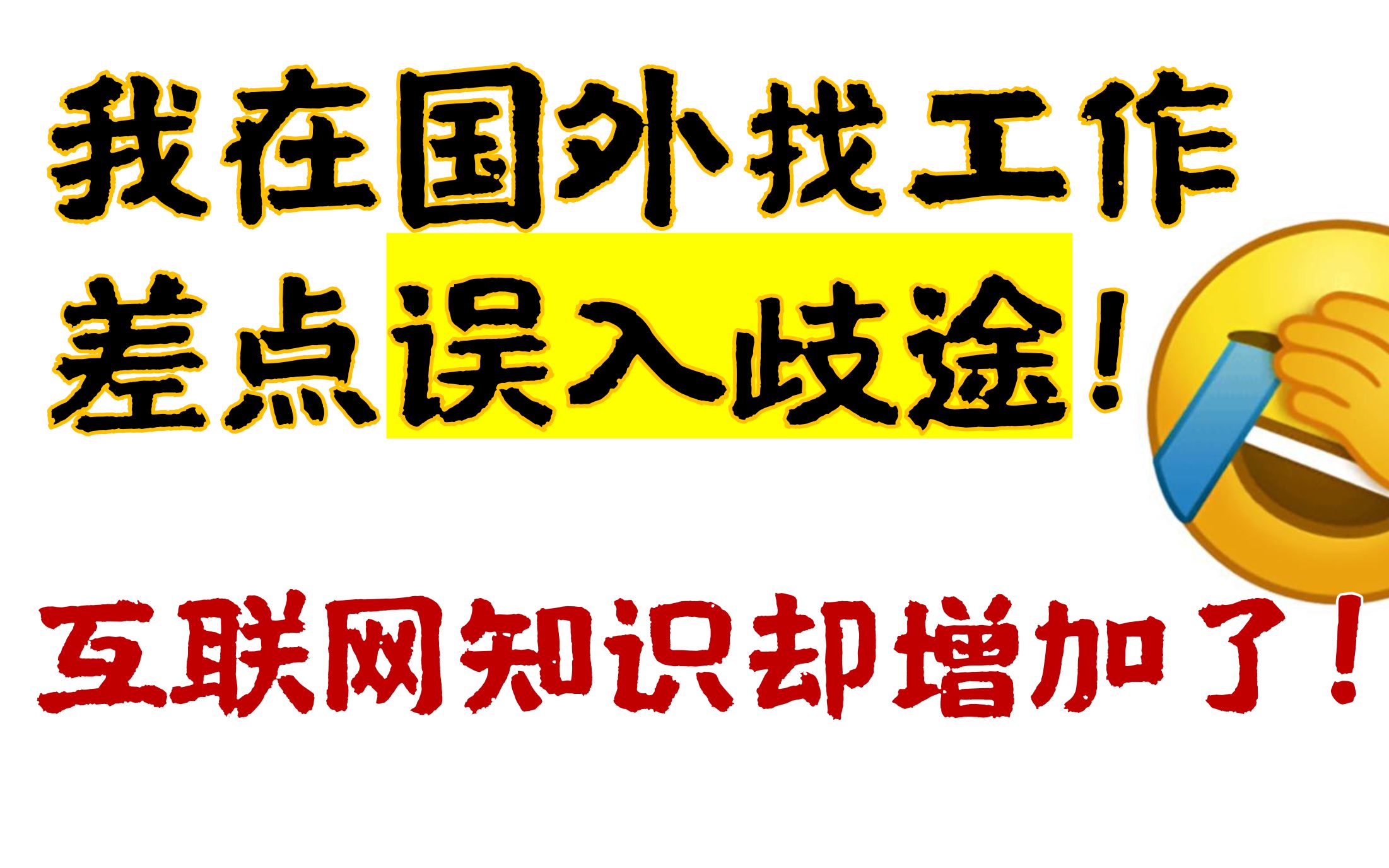 小伙在国外找工作,差点误入岐途!但增加了奇怪的互联网知识?哔哩哔哩bilibili