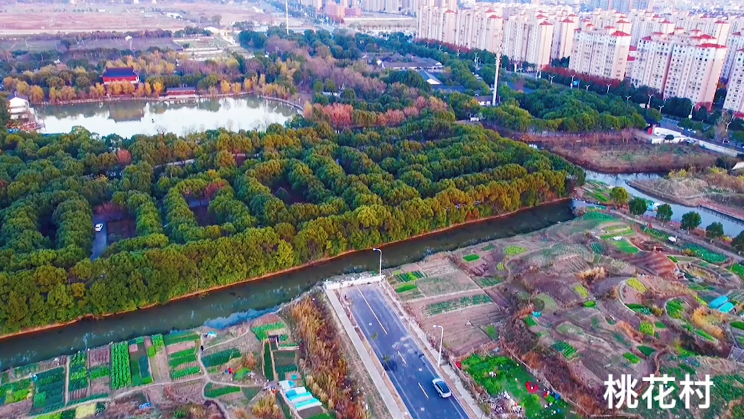 航拍上海市浦东新区惠南镇桃花村惠南加油