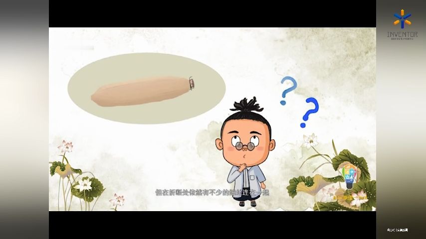 【科普】藕断为什么会丝连?哔哩哔哩bilibili