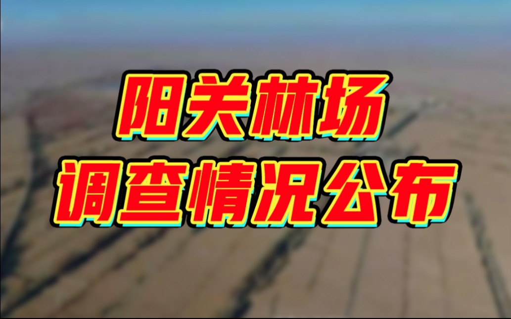 "阳关林场被毁案"最新调查结果