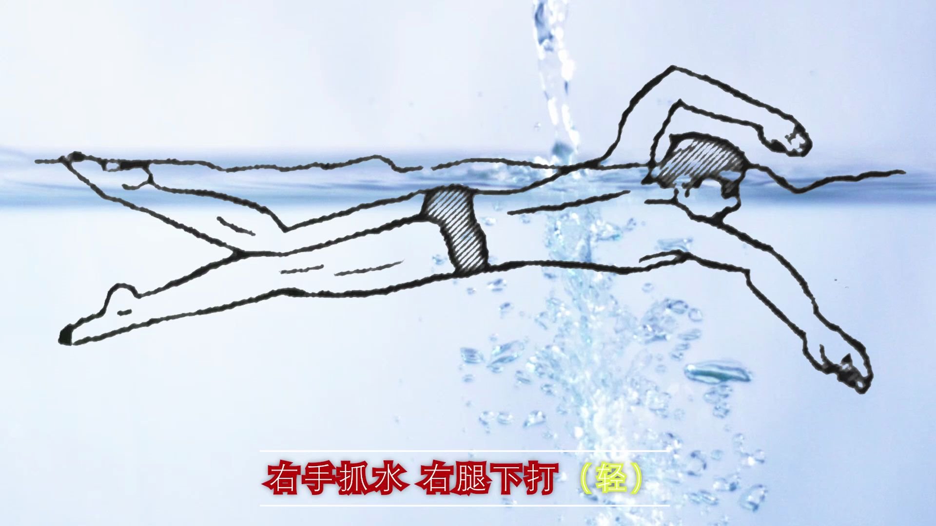 中游体育:很多人要自由泳六次腿打腿节奏图解 来喽_哔哩哔哩_bilibili
