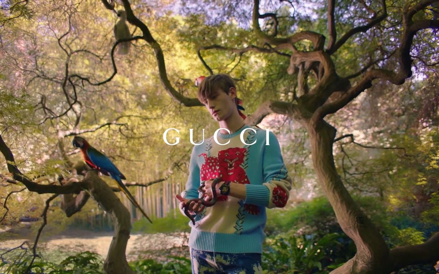 时尚guccigucci的花园2016