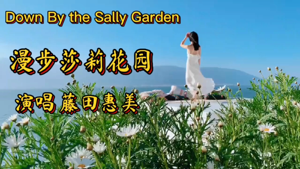 [图]闻名遐迩的爱尔兰民谣《Down By the Sally Garden 漫步莎莉花园》真是天籁之音，空灵唯美的音乐沁人心扉