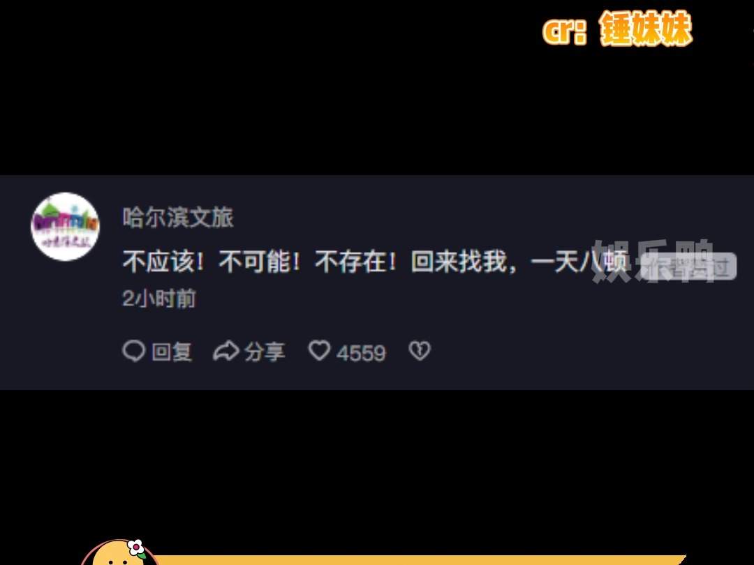 一句话,让哈尔滨为我疯狂哔哩哔哩bilibili