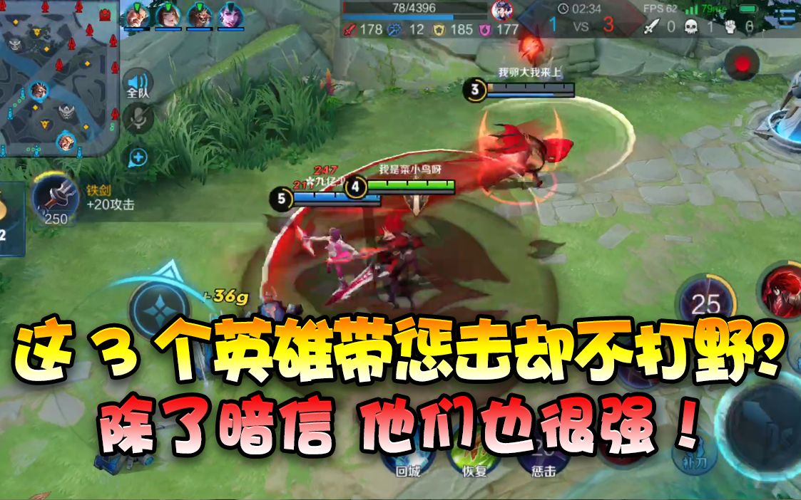 【王者荣耀菜小鸟】带惩击却不打野的3个英雄!除了暗信,他俩也很强!