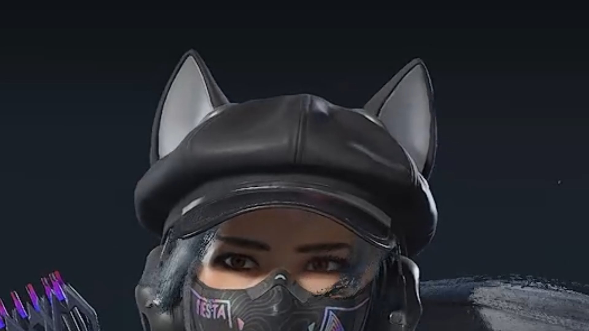 猫猫头抖耳朵30秒