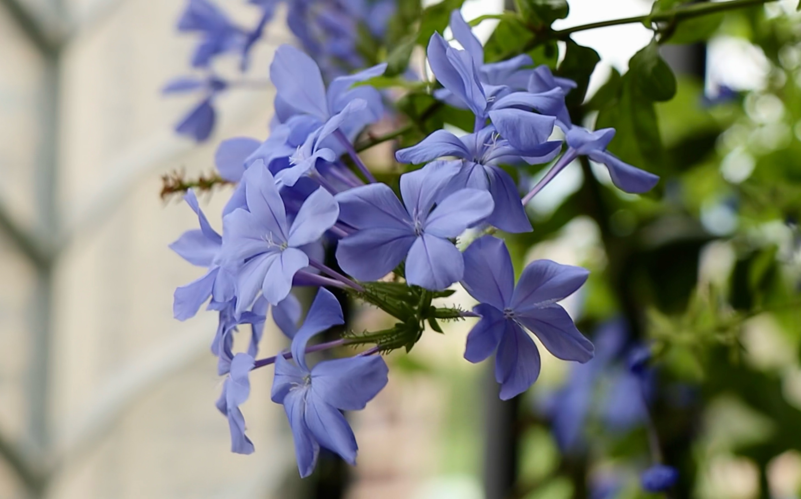 佳能90d手持拍摄1080直出视频