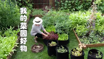 Скачать видео: 菜园里的秘密武器：揭秘高效种植神器01