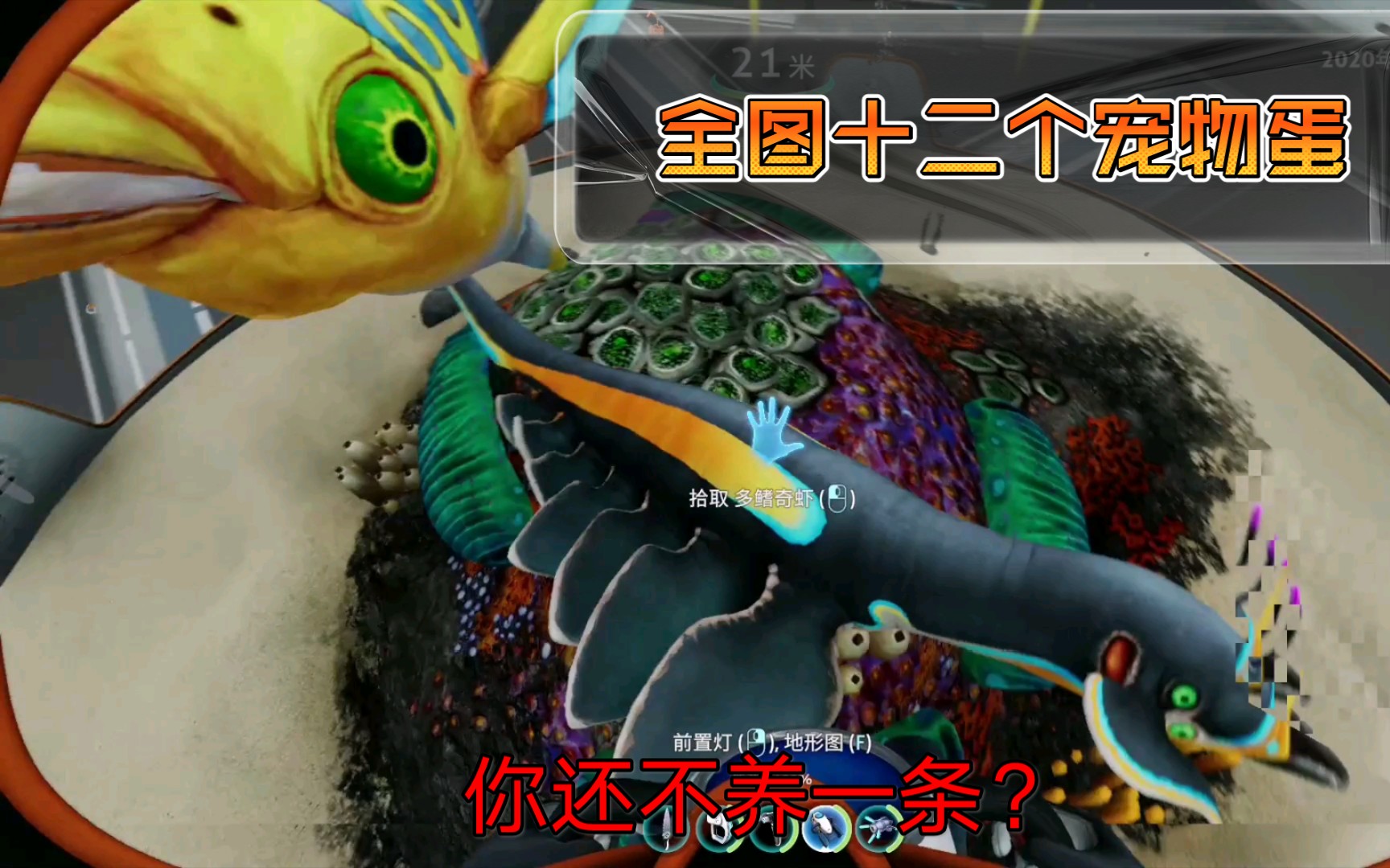 深海迷航:零度之下全部宠物蛋(生物蛋)位置分享