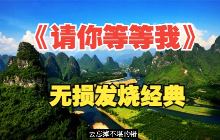 [图]151.无损音乐/发烧hifi/试音极品《请你等等我》