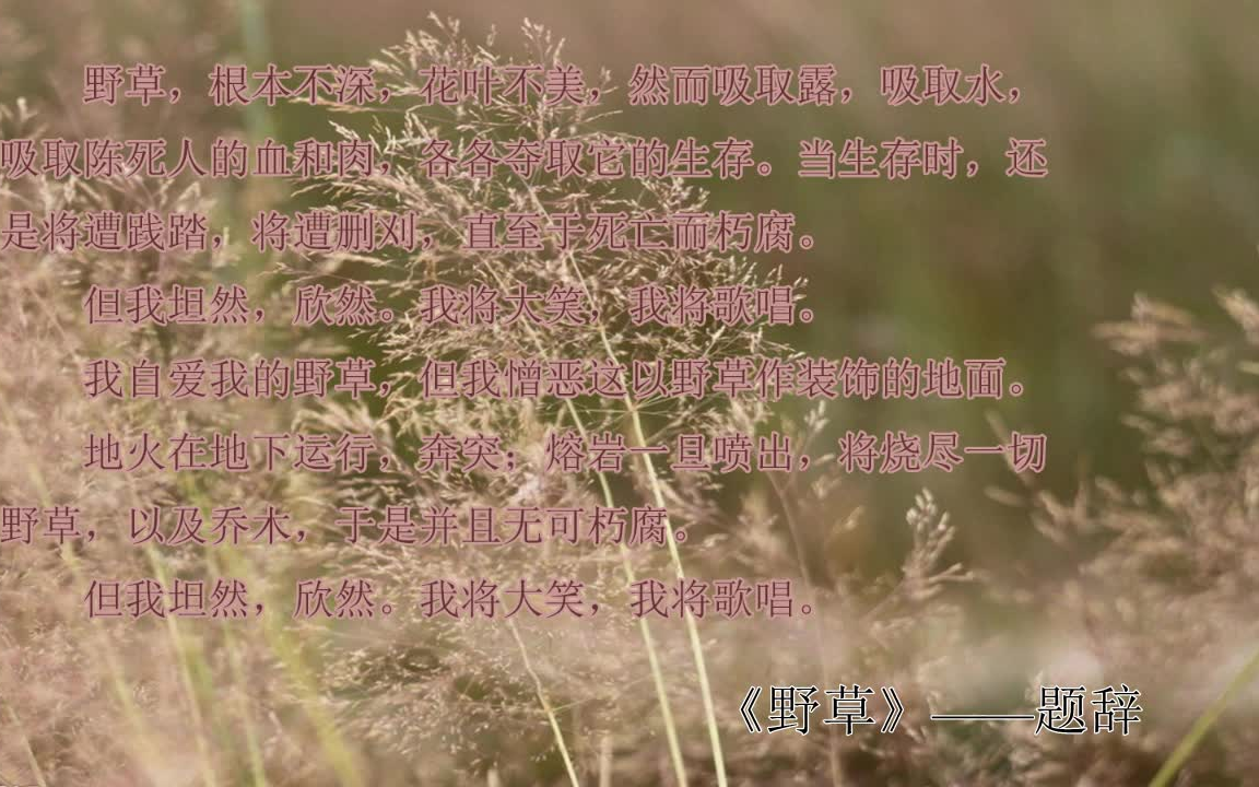 [图]朗读《野草》—题辞