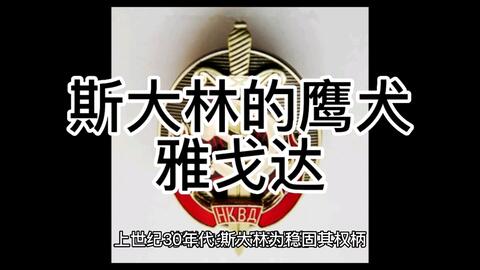 訳あり 【手取屋先生】瞬間調律Ⅱ＋スポーツ障害セミナーDVD 天の雫