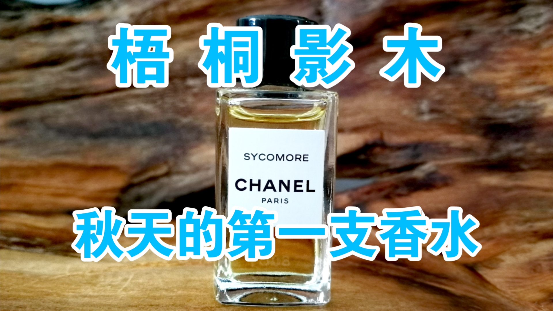 CHANEL SYCOMORE 梧桐影木EDT~EDP版本对比分析哔哩哔哩bilibili