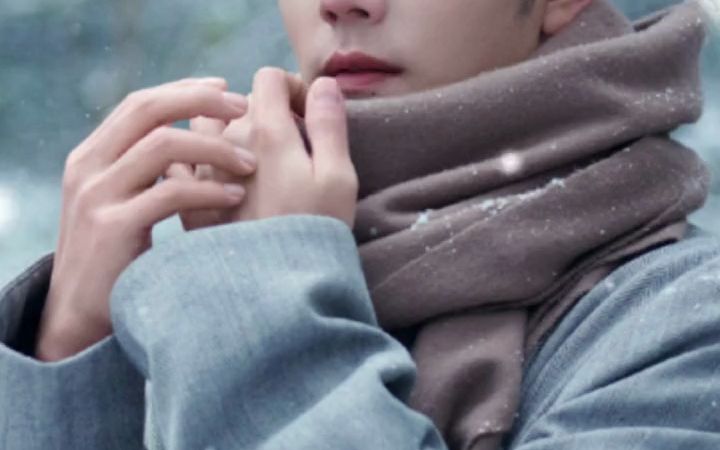 你站在雪地里朝我笑,我的心都化了 #肖战#雪一落这里就美成了诗