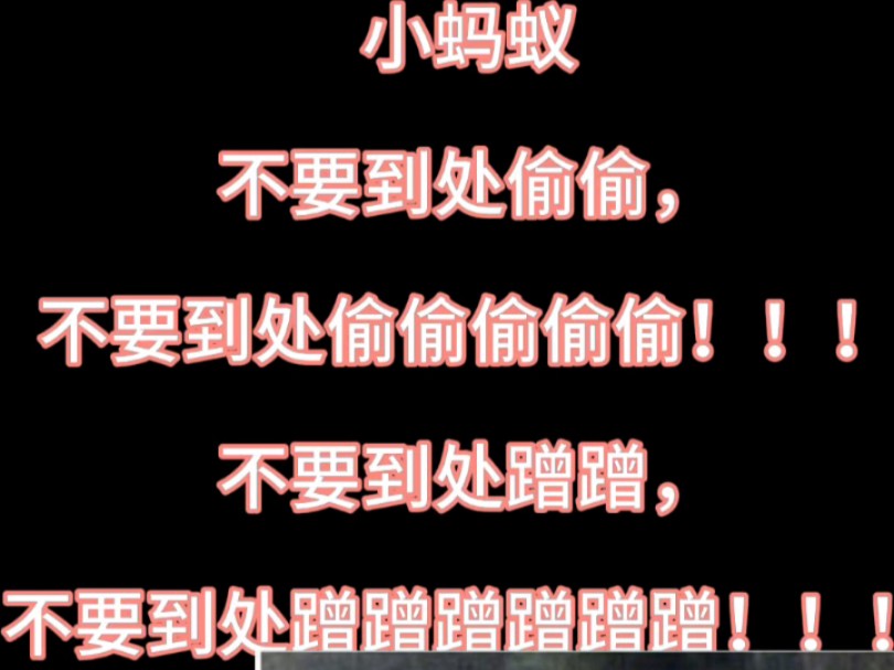 这个视频被小蚂蚁举报限流了,所以再重新发一次!哔哩哔哩bilibili闪耀暖暖