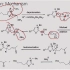 有机人名反应（250）：Stetter reaction