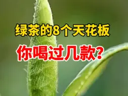 Скачать видео: 绿茶的8个天花板，你过几款？