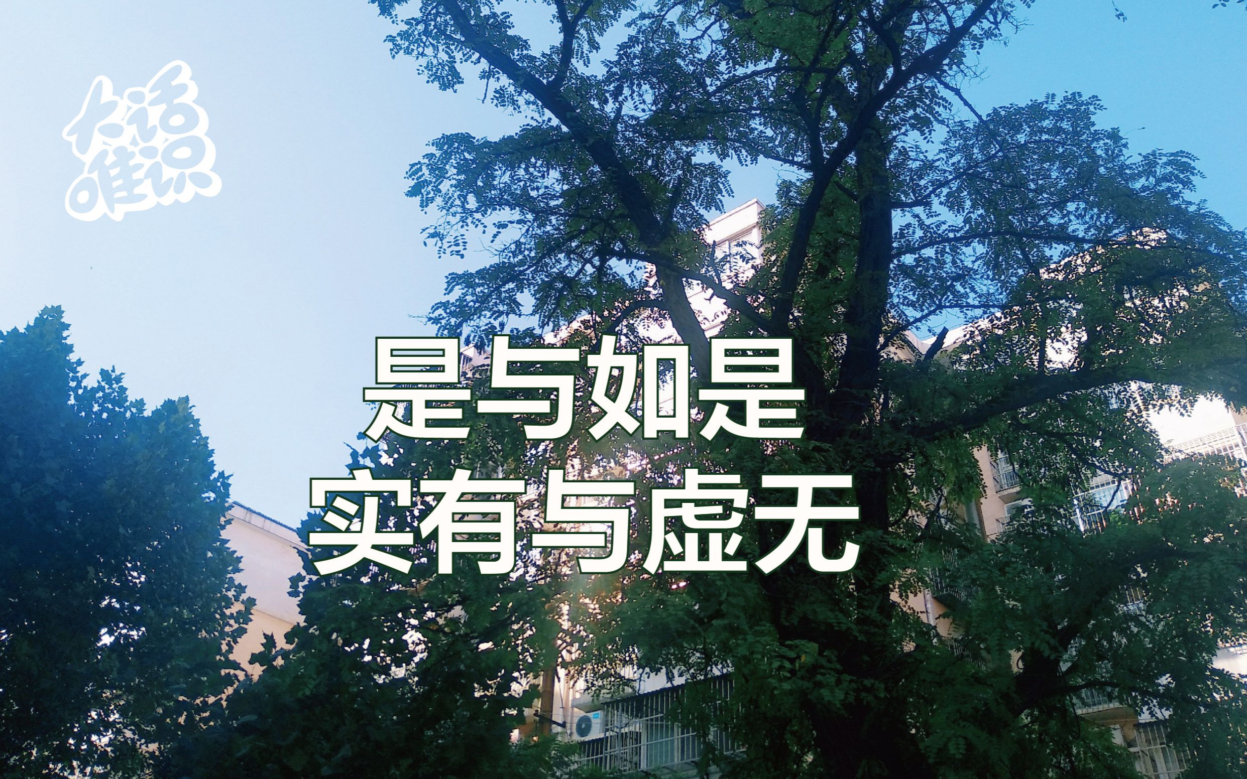 是与如是.实有与虚无.哔哩哔哩bilibili