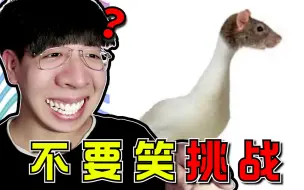 Download Video: 笑死我了哈哈！吃饭喝水慎入！根本忍不住哈哈【不要笑挑战】