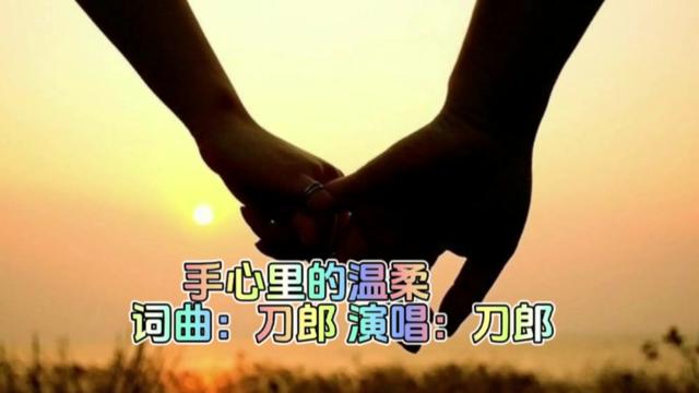 音乐分享 #刀郎#经典老歌#手心里的温柔#现场演唱