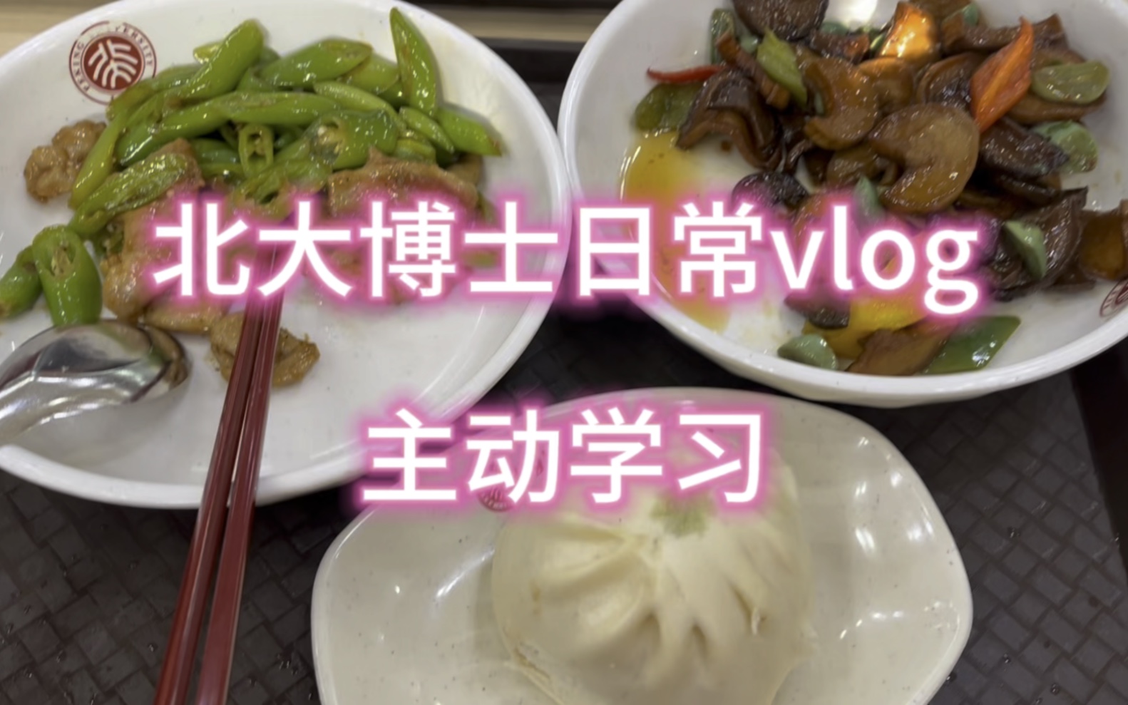 北大博士日常vlog65|高精力主動學習日常|20元食堂吃什麼