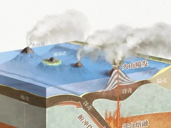 四大岛屿类型:大陆岛、火山岛、珊瑚岛、冲积岛哔哩哔哩bilibili