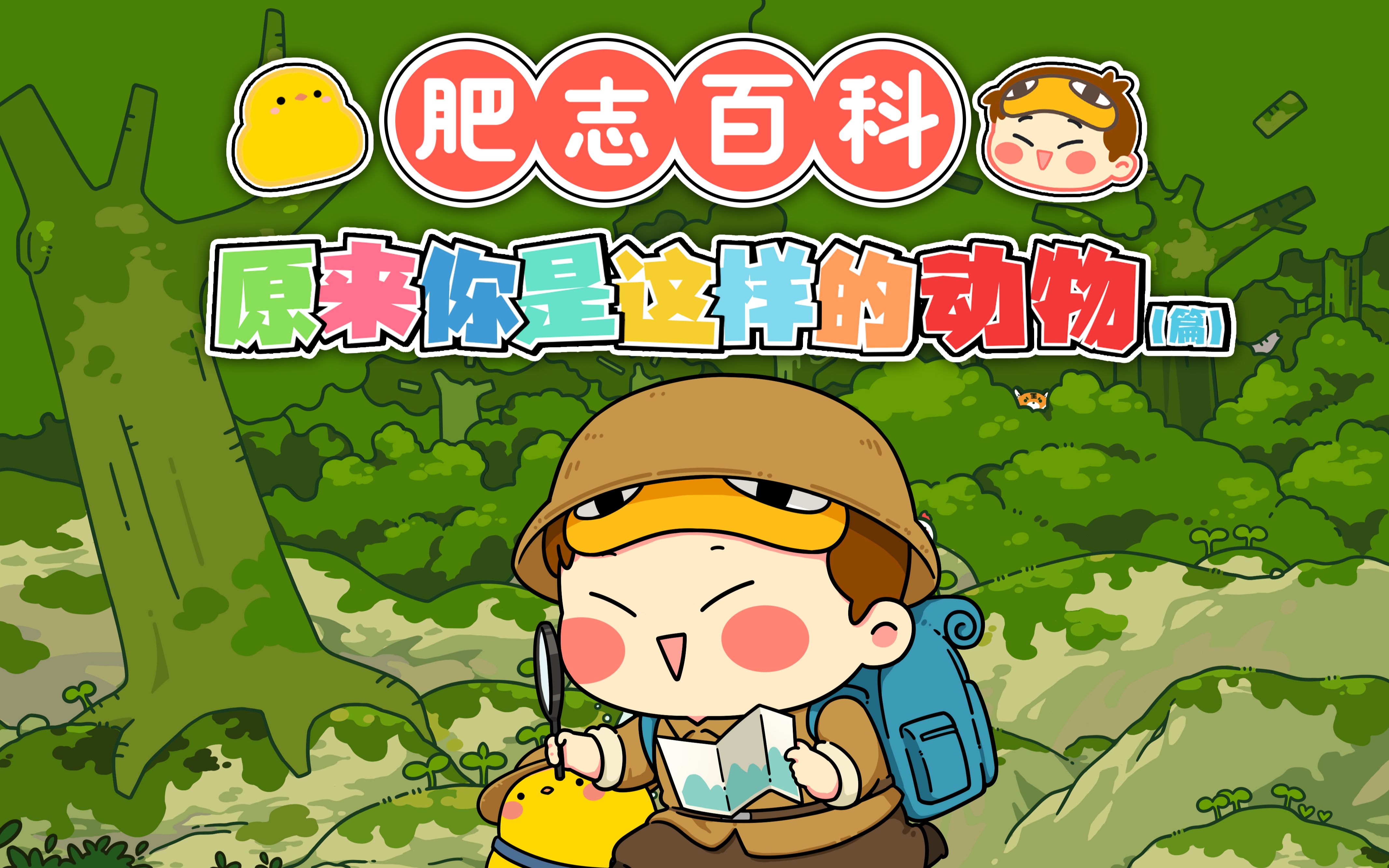 肥志百科动物篇定档pv4月3日1000来看关于动物们的小知识