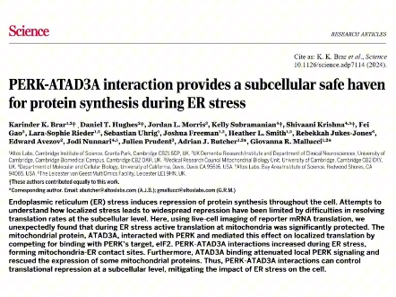 CNS速递:局部内质网应激和蛋白翻译抑制哔哩哔哩bilibili