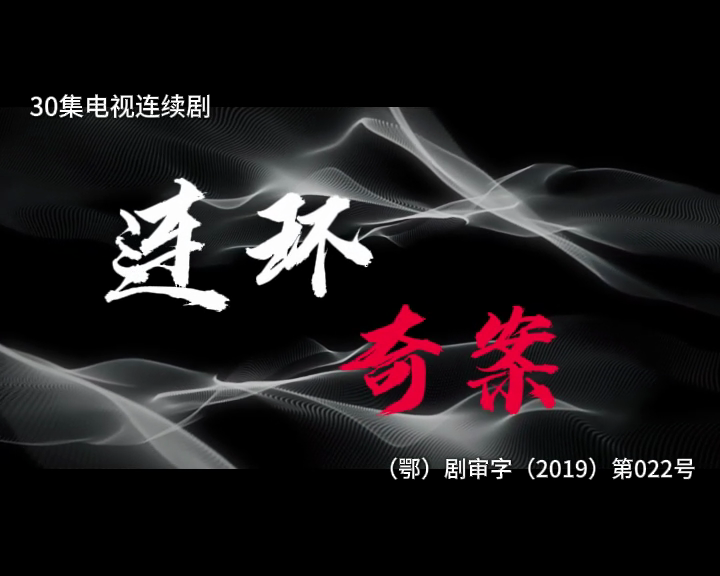 连环奇案 30集