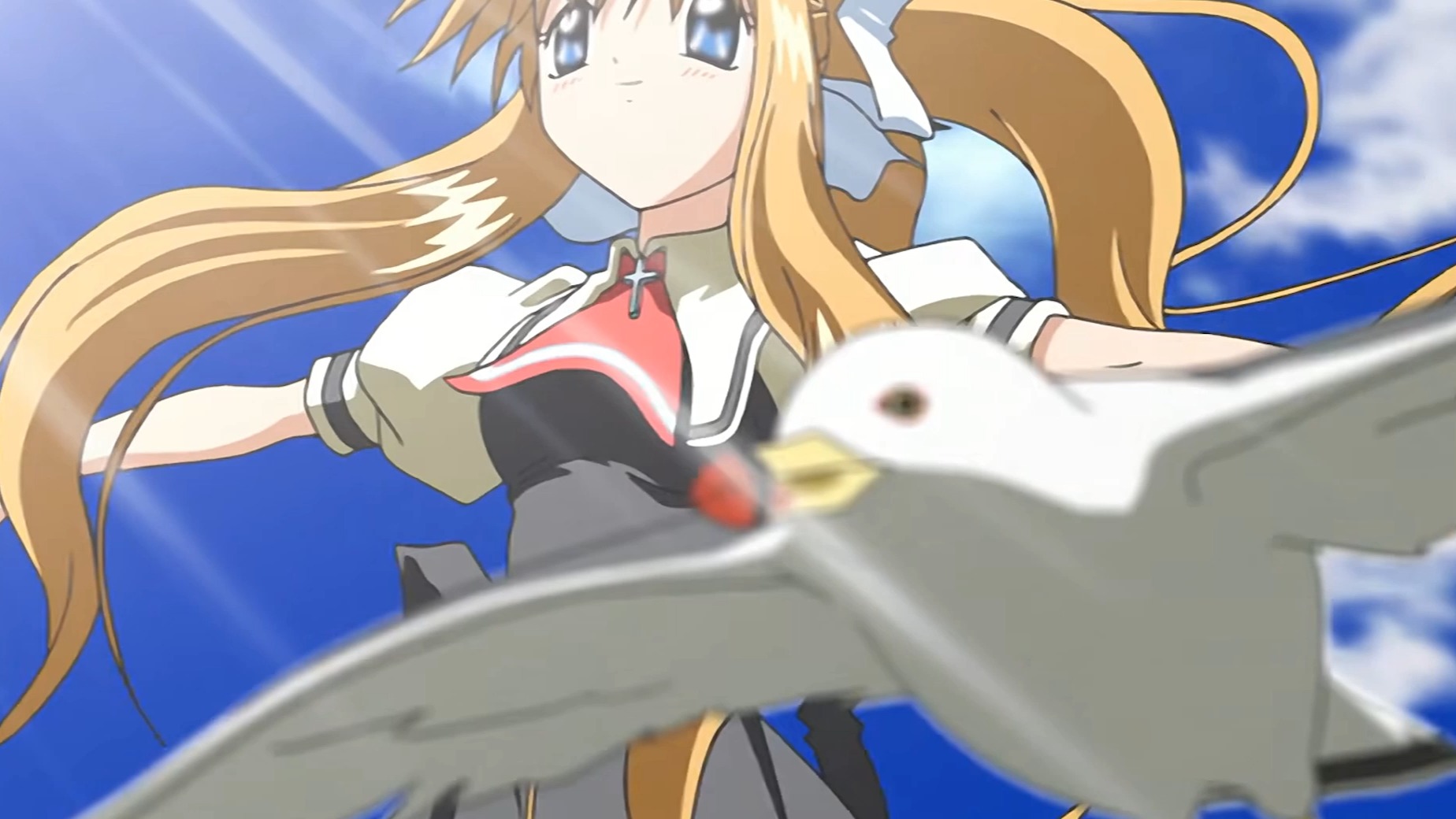 【鸟之诗】after 1000th summer