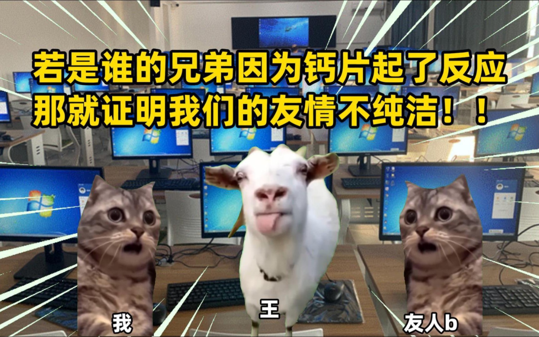 重口慎点!【猫meme】关于我被兄弟拉着看钙片验证友情这件事哔哩哔哩bilibili